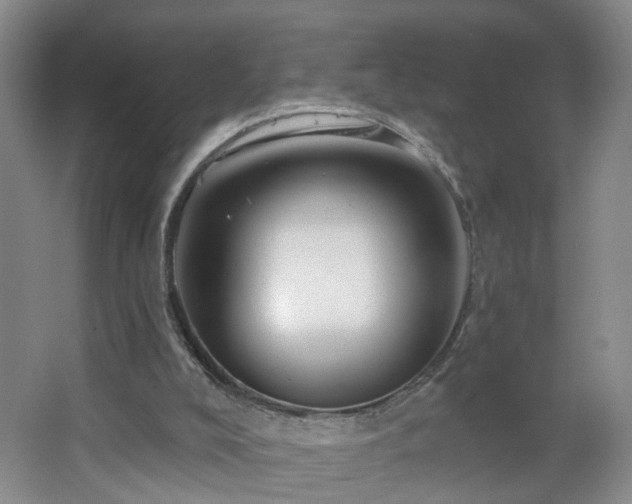 X0000064720008200602101136