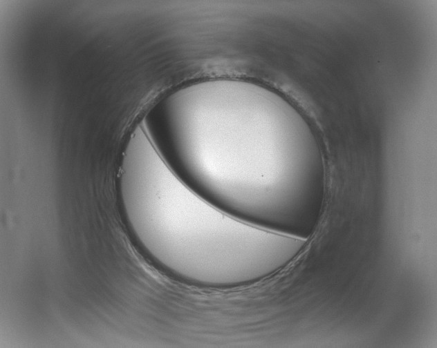 X0000064720009200602101136