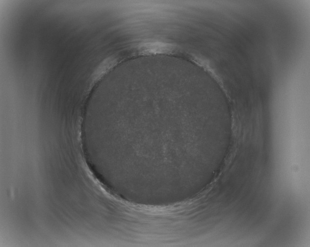 X0000064720010200602101136