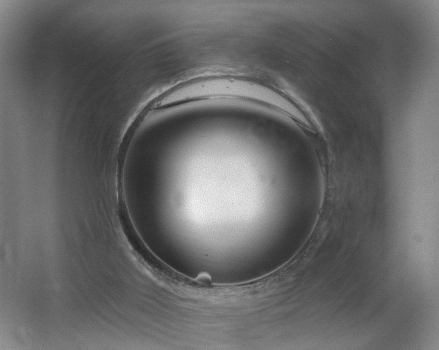 X0000064720011200602101136