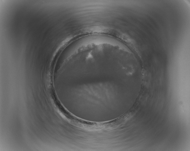 X0000064720012200602101136