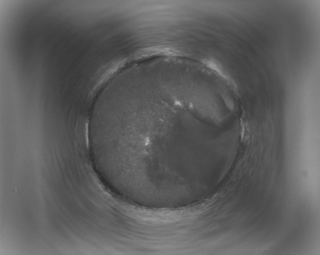 X0000064720014200602101136