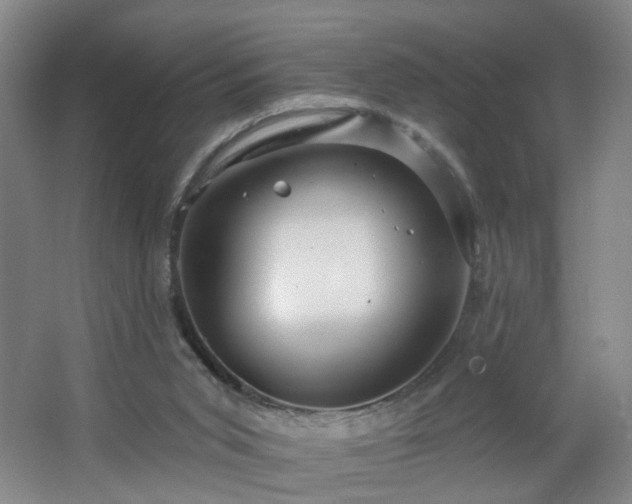 X0000064720015200602101136