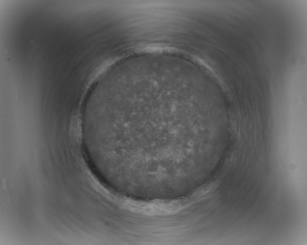 X0000064720016200602101136