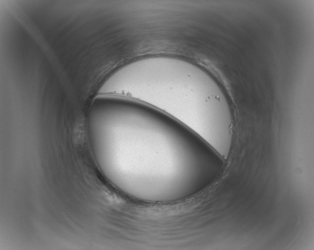 X0000064720017200602101136