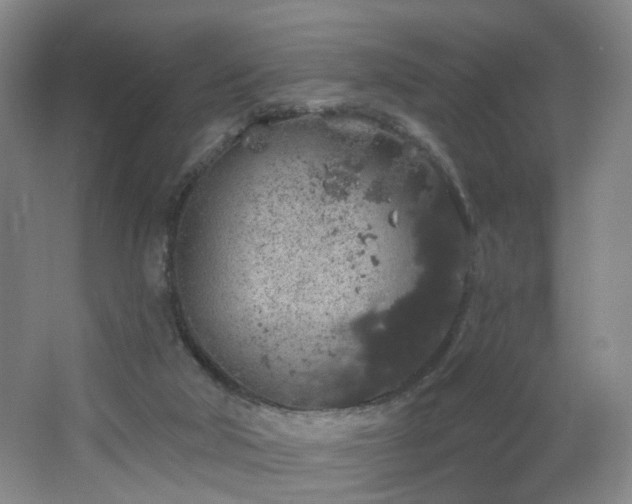 X0000064720018200602101136