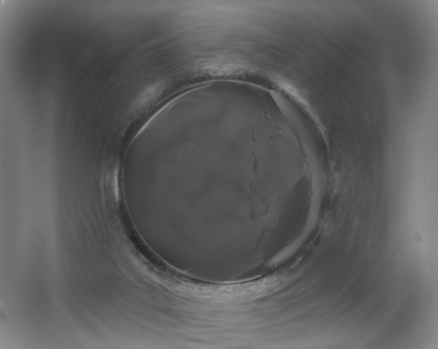 X0000064720019200602101136