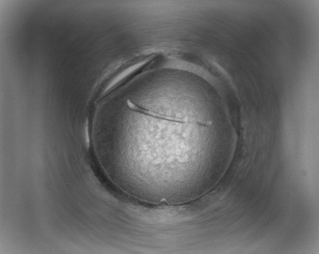 X0000064720020200602101136