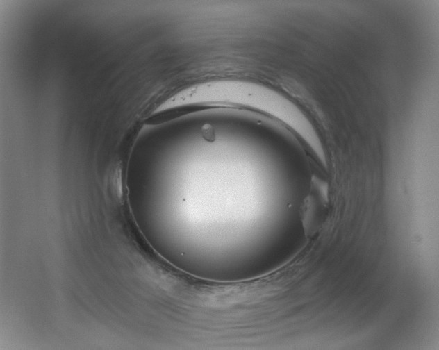 X0000064720021200602101135