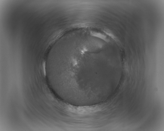 X0000064720022200602101135