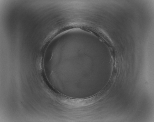 X0000064720023200602101135