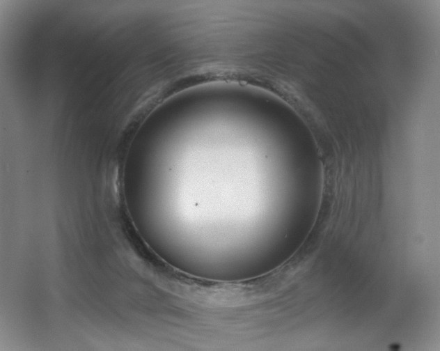 X0000064720024200602101135