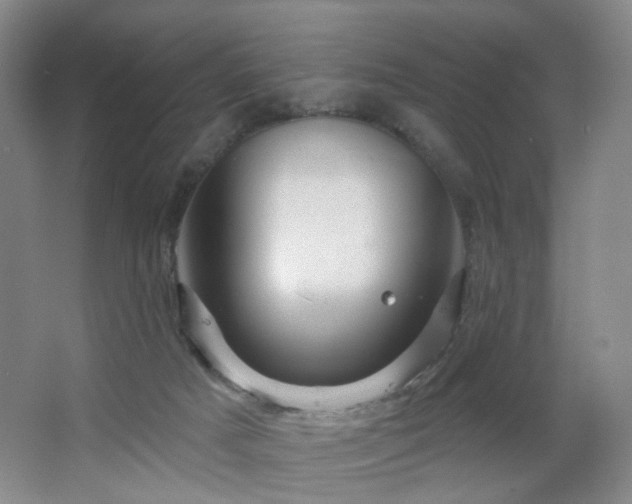 X0000064720025200602101135