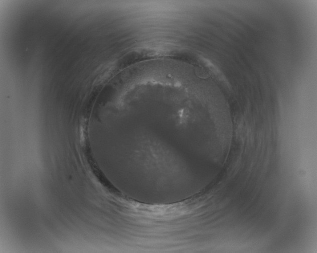 X0000064720026200602101135