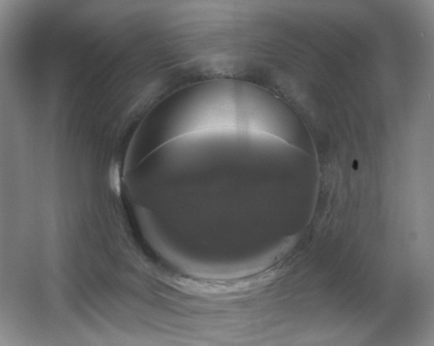 X0000064720027200602101135