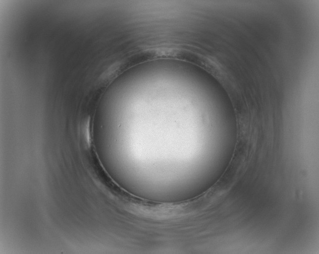 X0000064720028200602101135