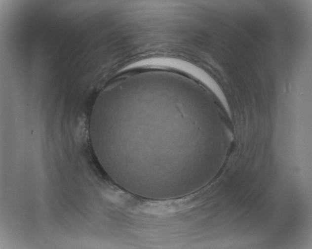 X0000064720029200602101135