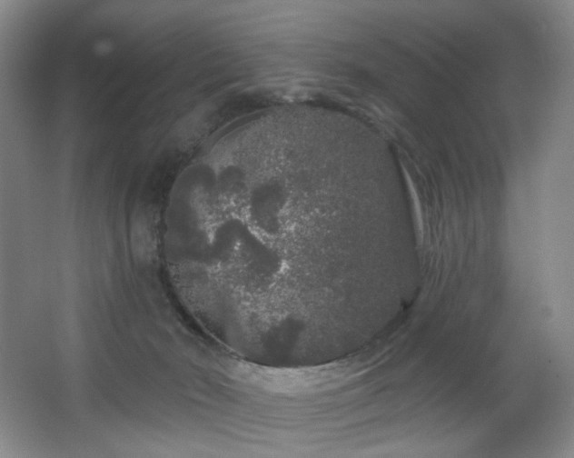 X0000064720030200602101135