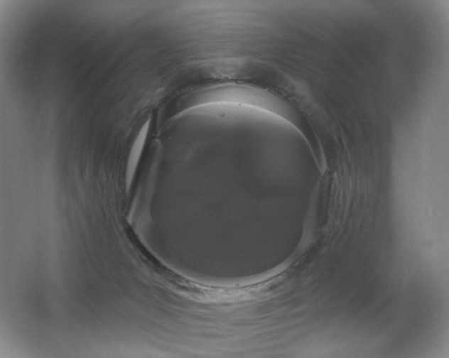 X0000064720031200602101135