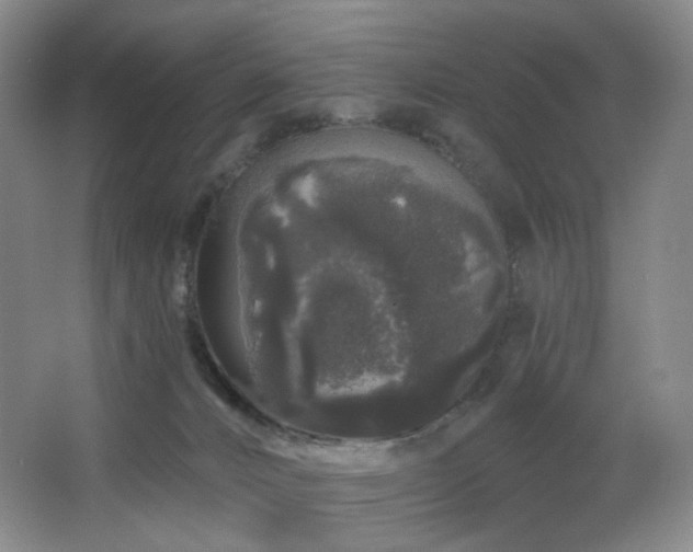 X0000064720032200602101135