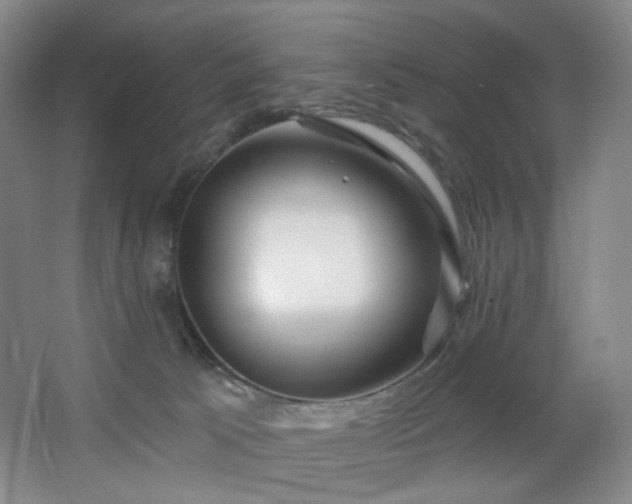 X0000064720033200602101135