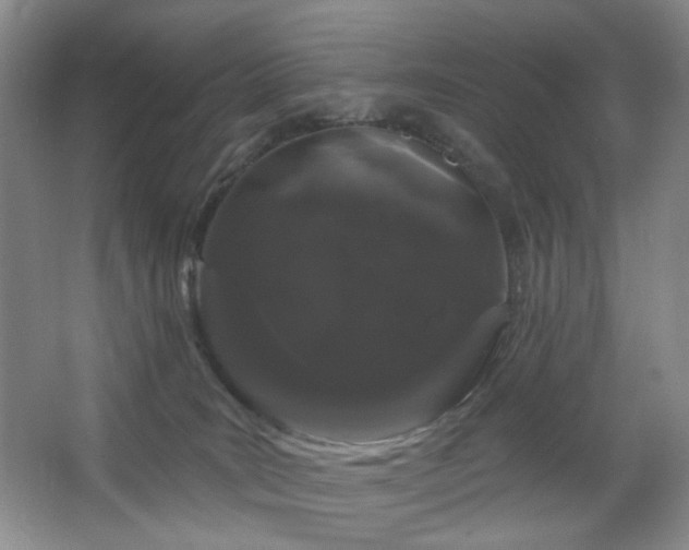 X0000064720035200602101135