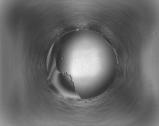 X0000064720037200602101135