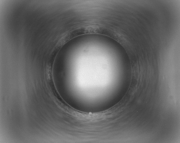 X0000064720038200602101135