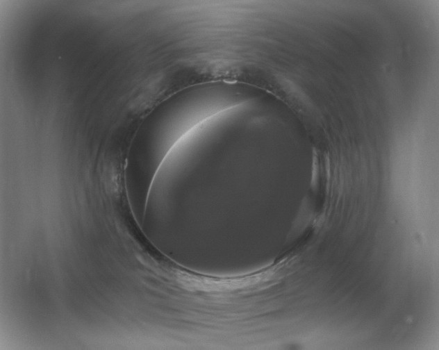 X0000064720039200602101135