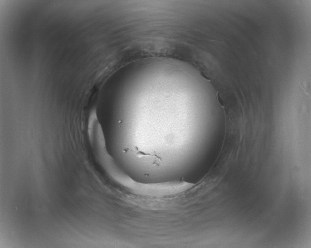 X0000064720040200602101135