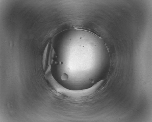 X0000064720041200602101135