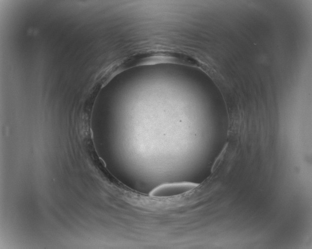 X0000064720043200602101135