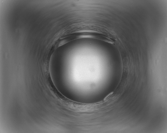 X0000064720044200602101135