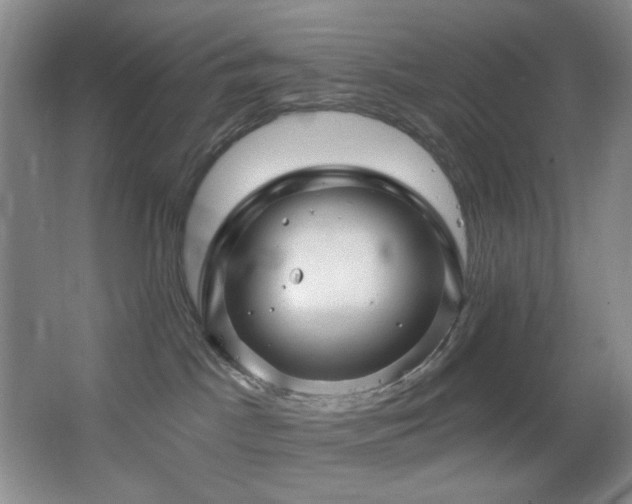 X0000064720045200602101135