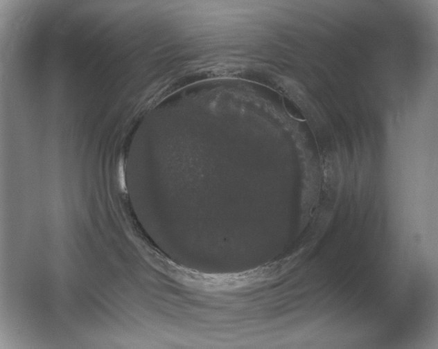 X0000064720046200602101135