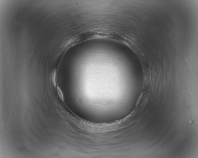 X0000064720047200602101135