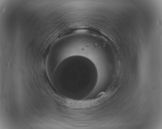 X0000064720048200602101135