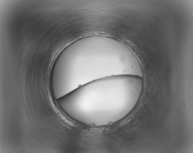 X0000064720049200602101134