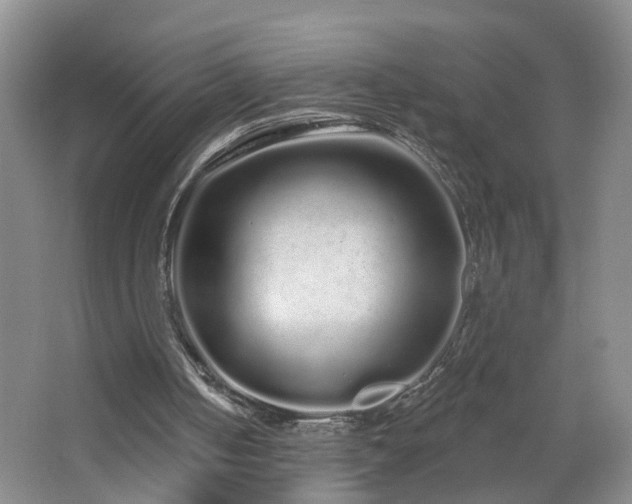 X0000064720050200602101134