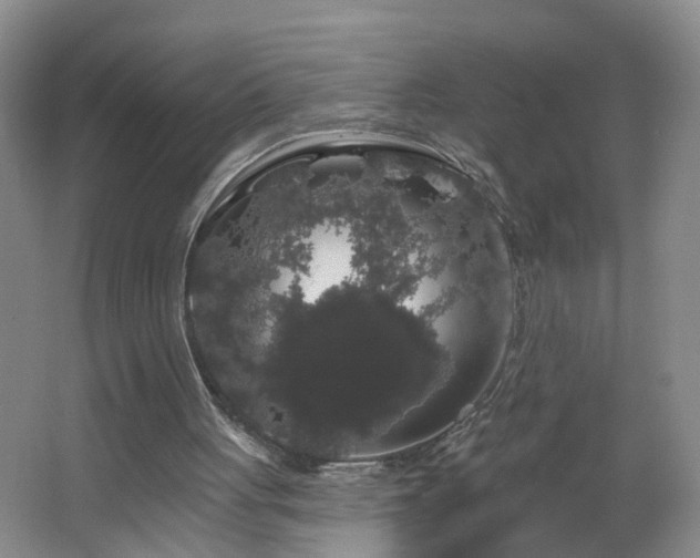 X0000064720051200602101134