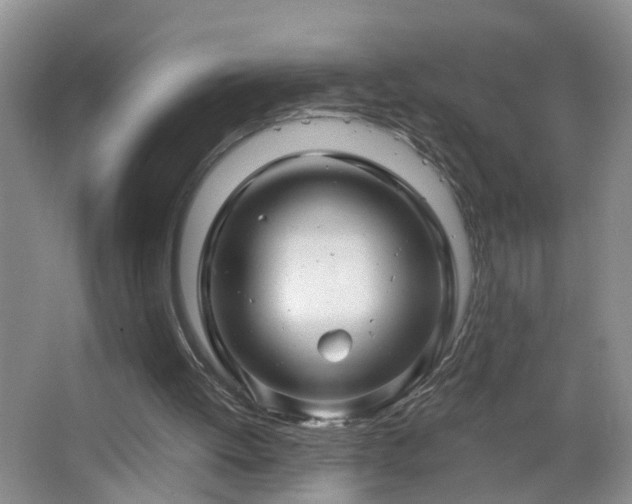 X0000064720052200602101134