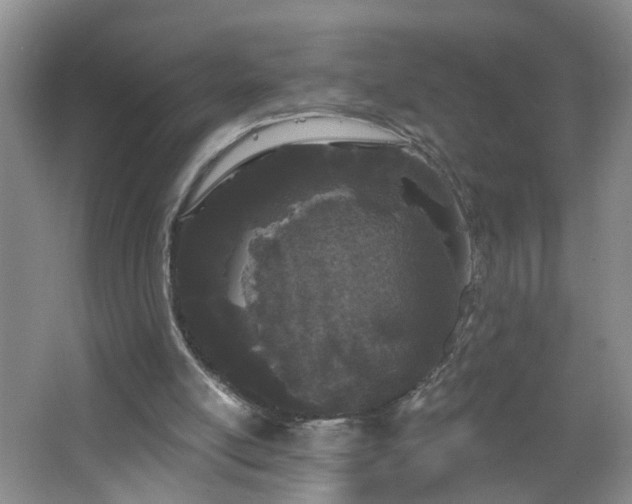 X0000064720054200602101134