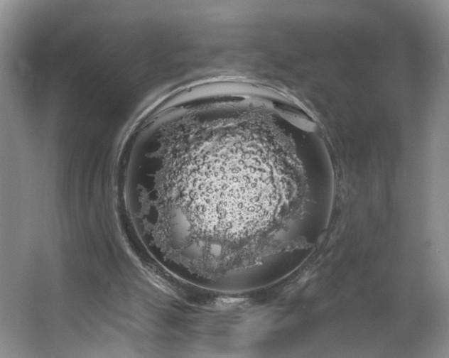 X0000064720055200602101134