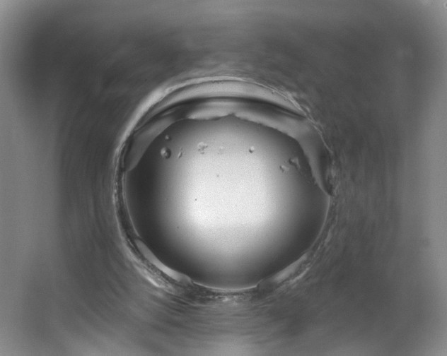 X0000064720056200602101134