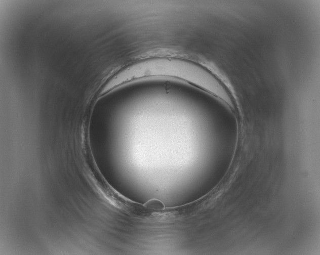 X0000064720057200602101134