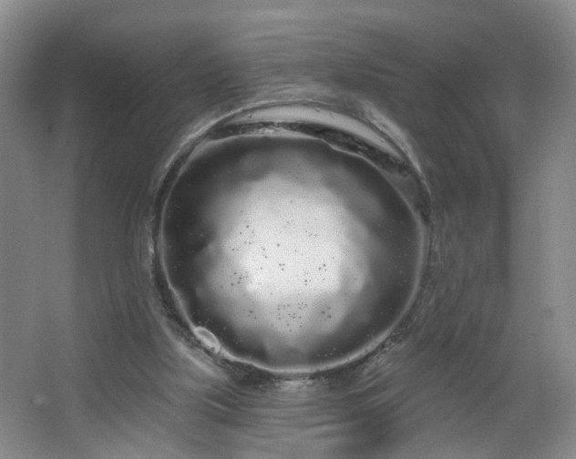 X0000064720059200602101134