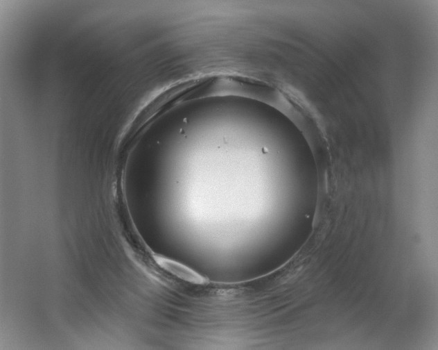 X0000064720060200602101134