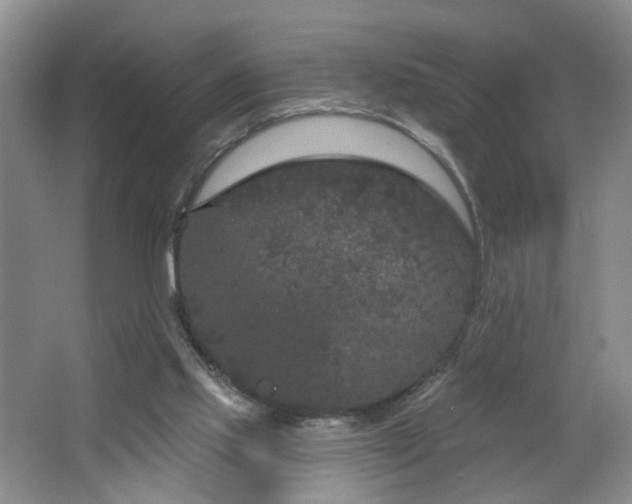 X0000064720061200602101134