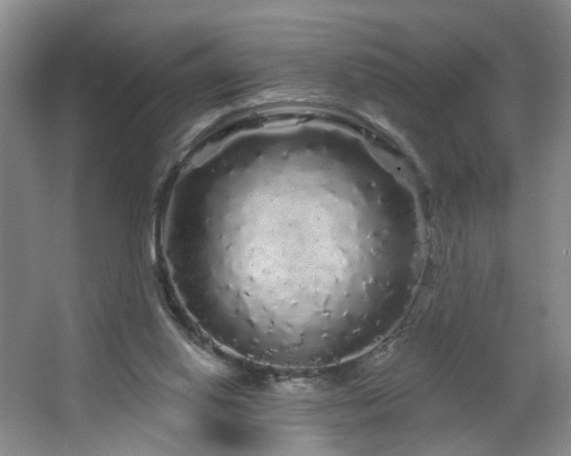 X0000064720062200602101134