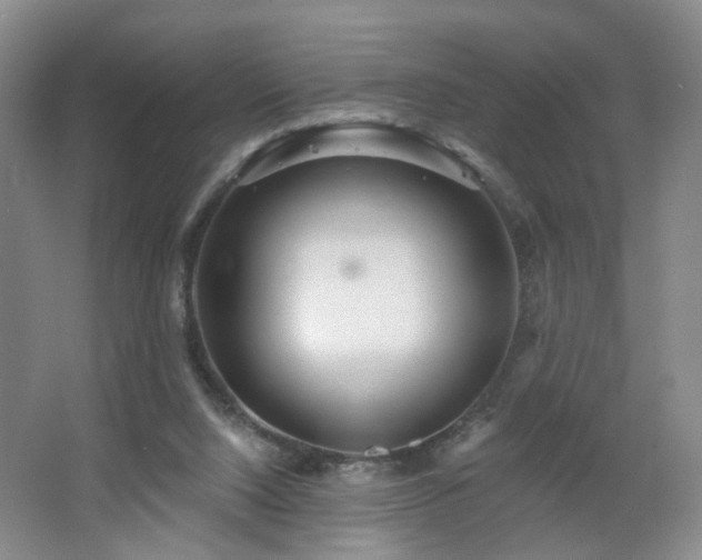 X0000064720064200602101134